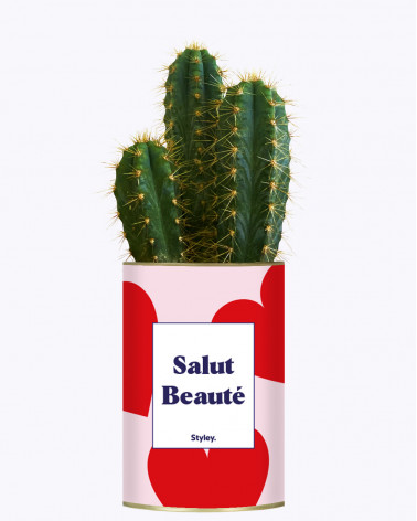 Salut beauté - Plante