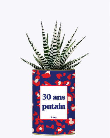 30 ans putain - Plante