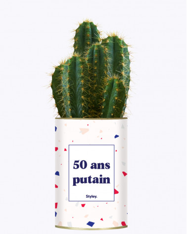 50 ans putain - Plante