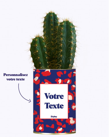 Cactus Lison - Personnalisable