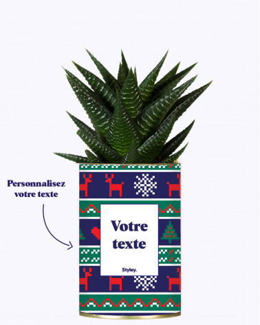 Plante de Noël...