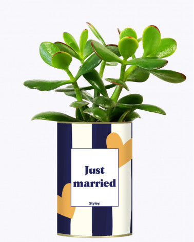 Just married - Plante
