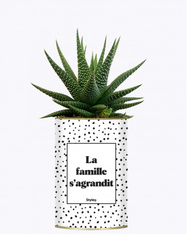 La famille s'agrandit - Plante