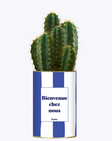 Bienvenue chez nous - Cactus