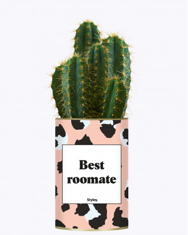 Best Roomate - Cactus