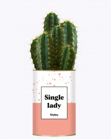 Single Lady - Cactus