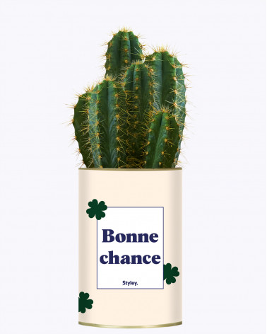 Bonne chance - Cactus