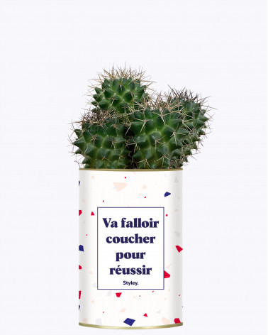 Idées Cadeaux - Cactus pour collègues de travail I STYLEY