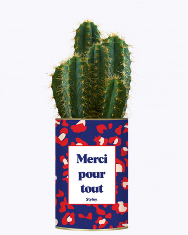 Merci pour tout - Cactus