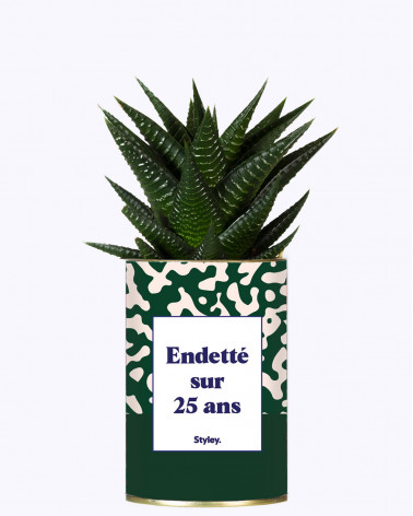 Endetté sur 25 ans - Cactus