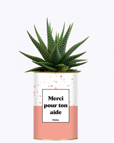 Merci pour ton aide - Cactus