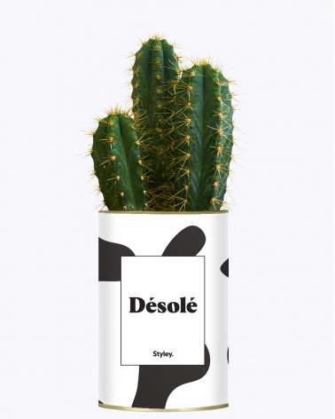 Désolé - Cactus