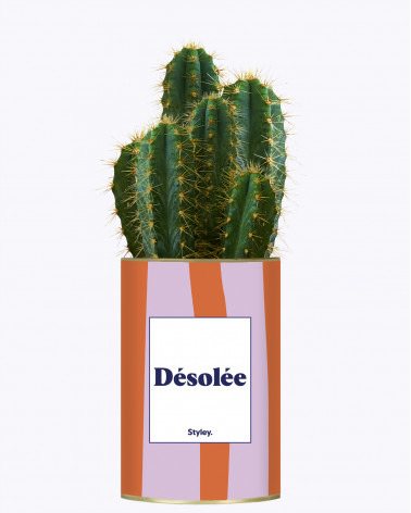 Désolée - Cactus