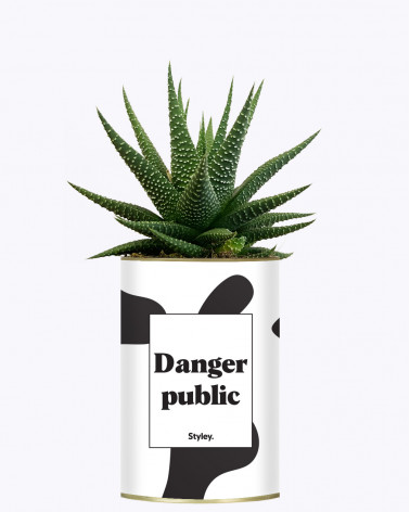 Danger Public - Cactus