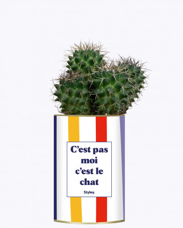 C'est pas moi c'est le chat...