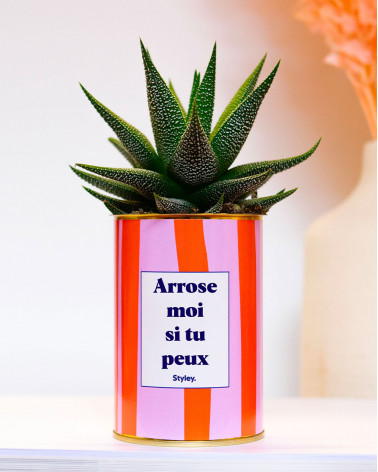 Arrose moi si tu peux - Plante