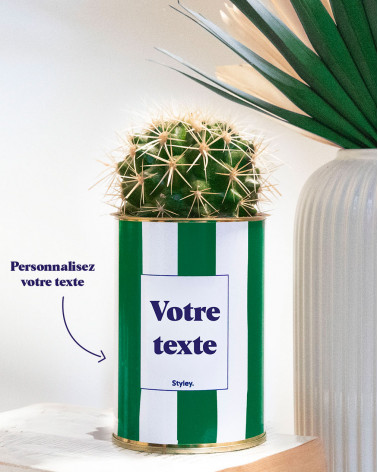 Rayures Vertes - Plante...