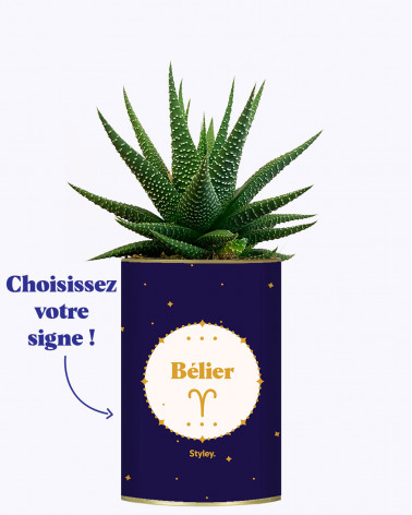 Astrologie - Plante zodiac