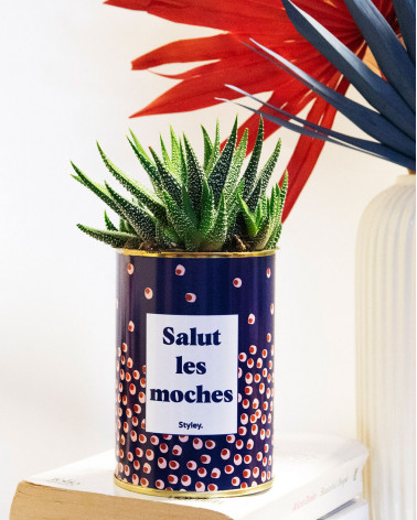 Salut les moches - Cactus