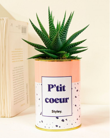 P'tit coeur - Cactus