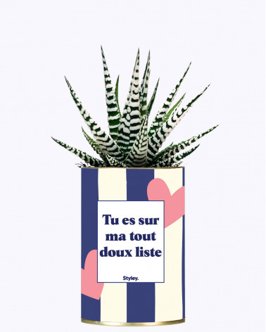 Tout doux list - Cactus