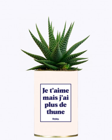 Je t'aime mais j'ai plus de...