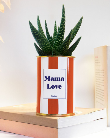 Mama Love - Cactus