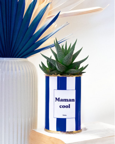 Maman cool - Cactus