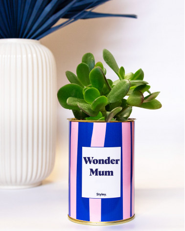 Wonder mum - Cactus