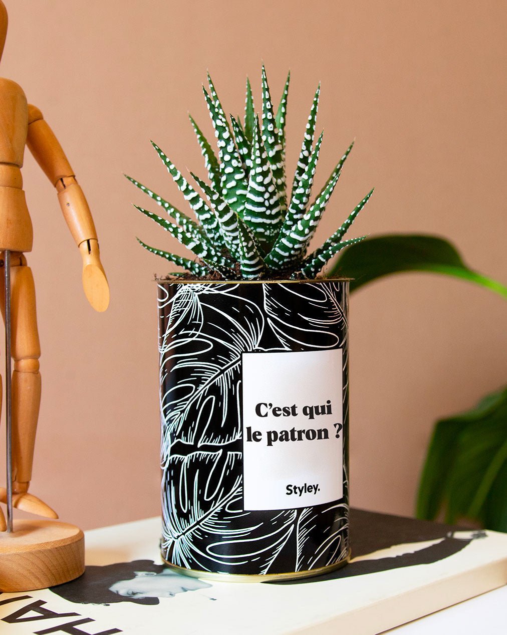 Cactus et bien-être au travail