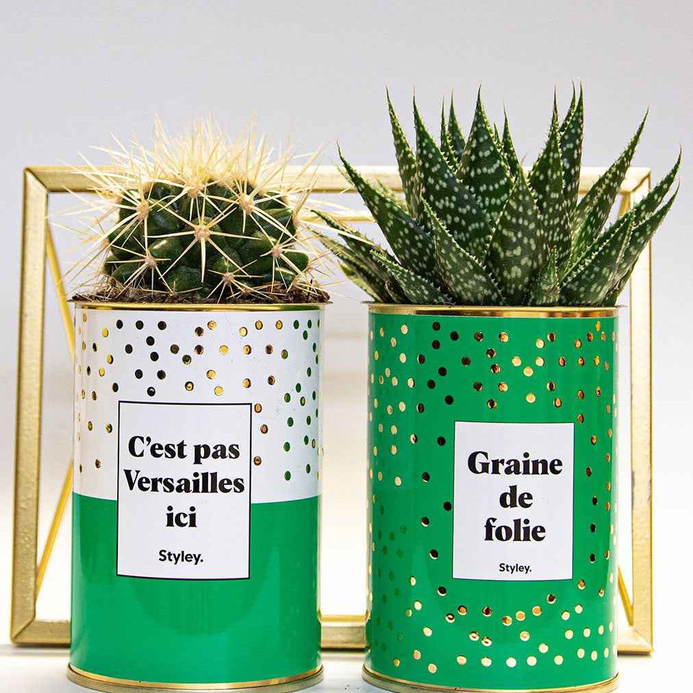 Cadeau crémaillère : 15 idées originales pour surprendre