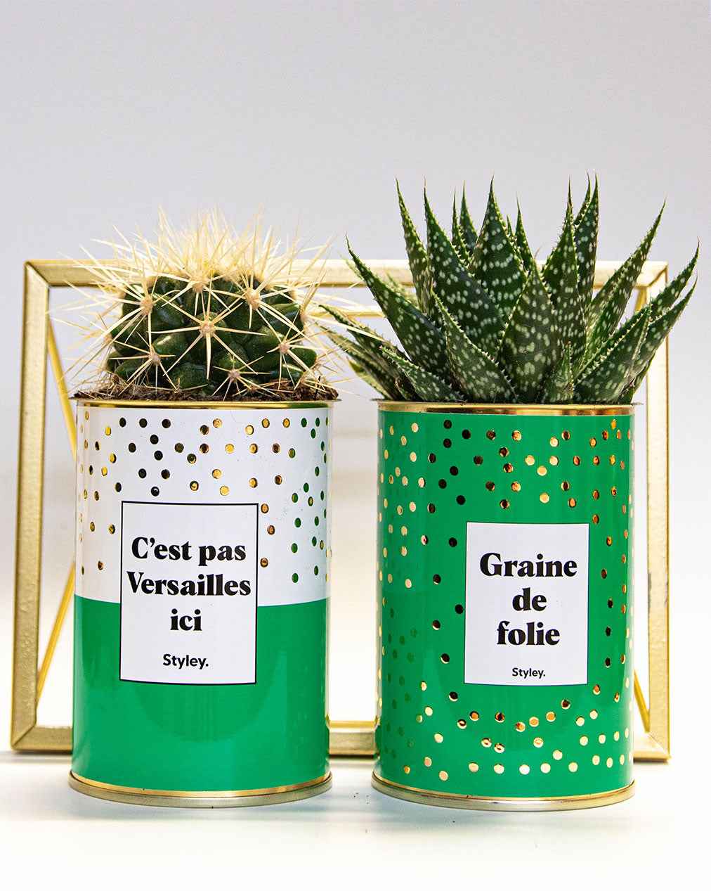 Cadeau crémaillère : 15 idées originales pour surprendre