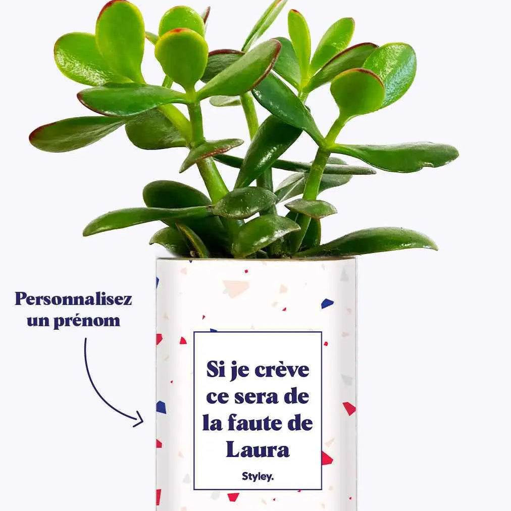 Pourquoi "Si je crève ce sera ta faute" est la phrase la plus écrite sur nos plantes