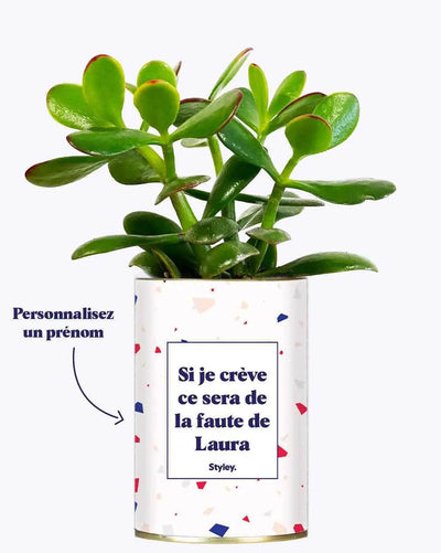 Pourquoi "Si je crève ce sera ta faute" est la phrase la plus écrite sur nos plantes