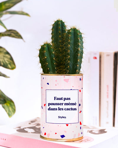 TOP 10 messages cactus drôles