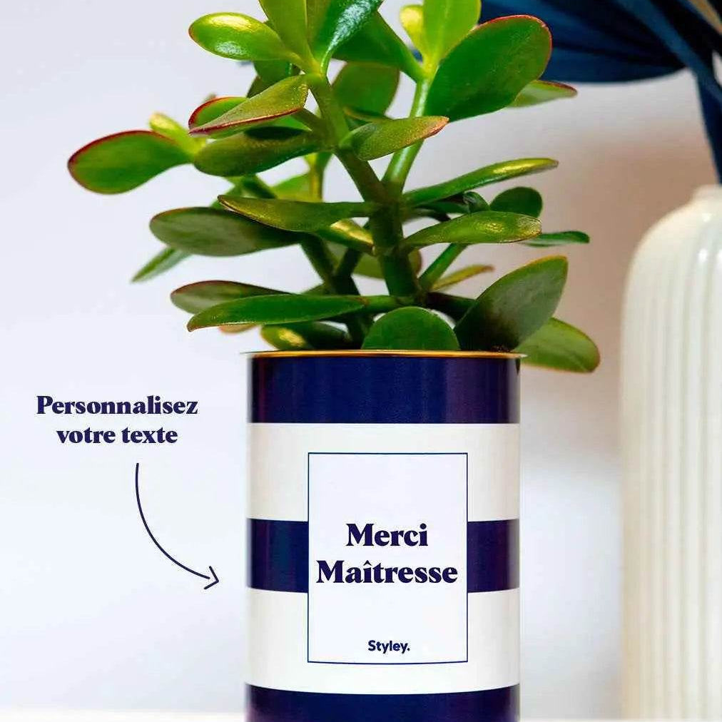 Merci maîtresse : 50 messages courts à offrir avec son cadeau