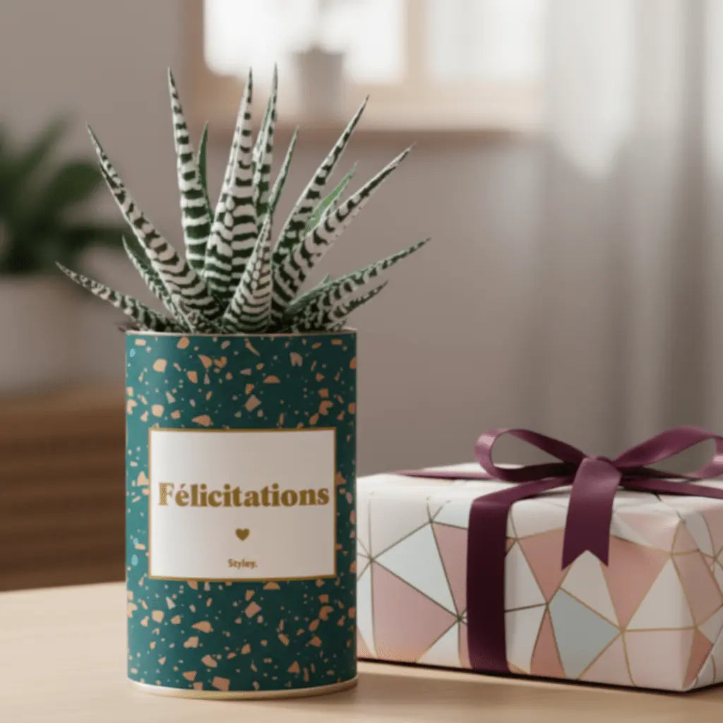 5 erreurs à éviter quand on offre une plante