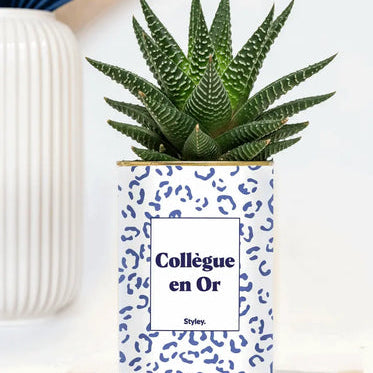 Cadeau de Noël pour une collègue