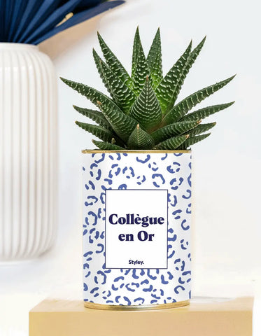 Cadeau de Noël pour une collègue