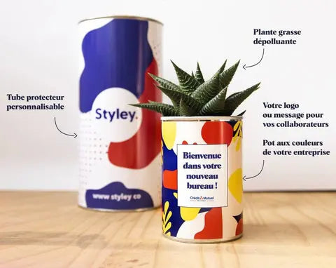 Cadeau d'entreprise personnalisé : pots sur-mesure pour vos collaborateurs