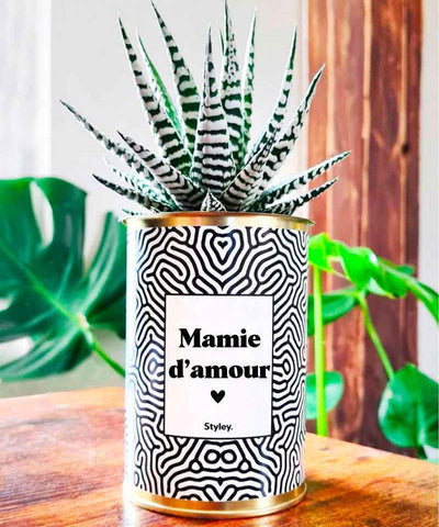 Meilleurs idées cadeaux personnalisés pour mamie 