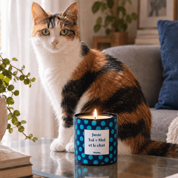 Bougies parfumées, chats et chiens  ce qu'il faut savoir