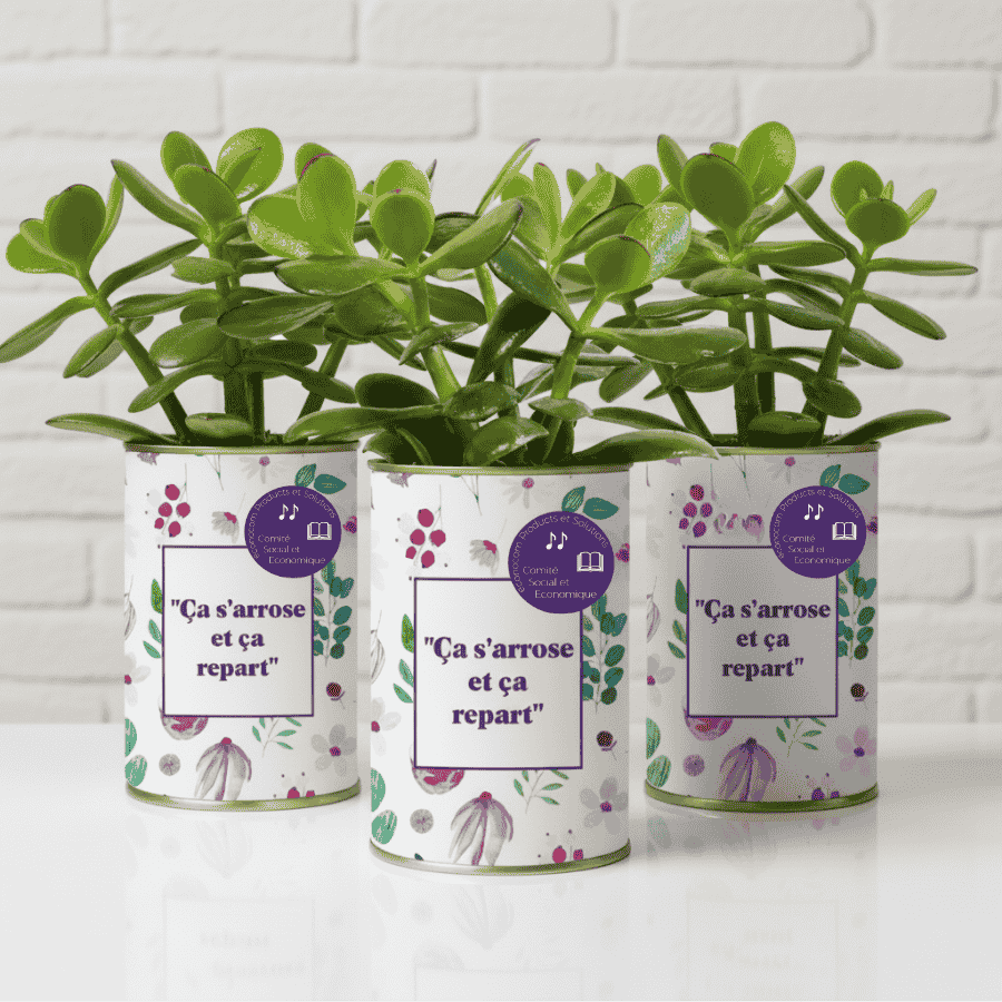 Cadeaux CSE : plantes personnalisables pour vos collaborateurs