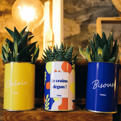 joli pot de fleur déco