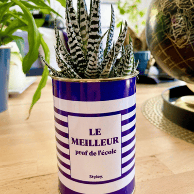 Cadeau pour le maître de votre enfant : 10 idées originales