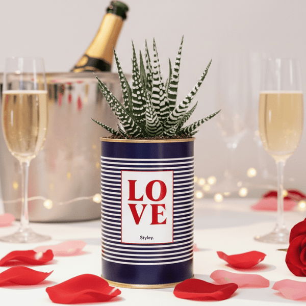 Cadeau saint valentin couple : nos idées cadeaux originales pour deux