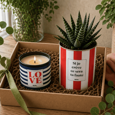 Coffret bougie et plante : idée cadeau originale