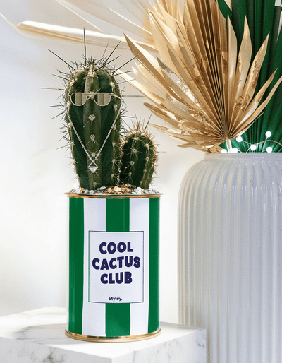 Pourquoi le cactus est tendance ?
