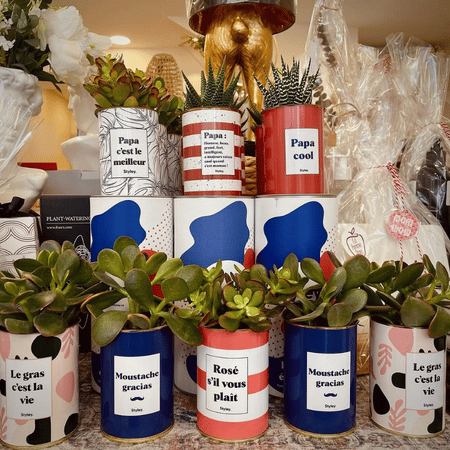 Corner cadeau plante + bougie : le guide merchandising pour boutiques