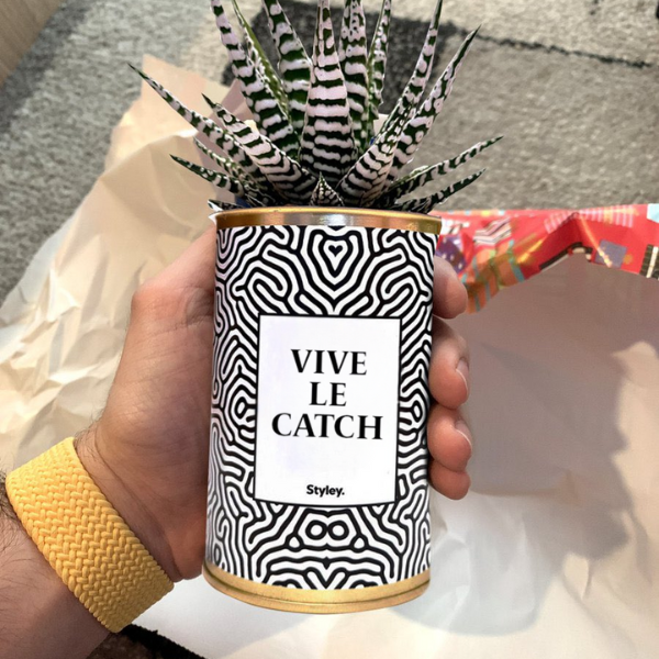“Vive le catch” : la plante Styley devenue virale - Styley